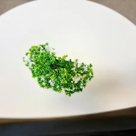 In The Heart Of Varna-by The Sea And Sea Garden * فارنا