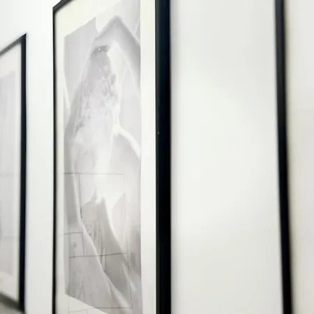 In The Heart Of Varna-by The Sea And Sea Garden Lejlighed Varna