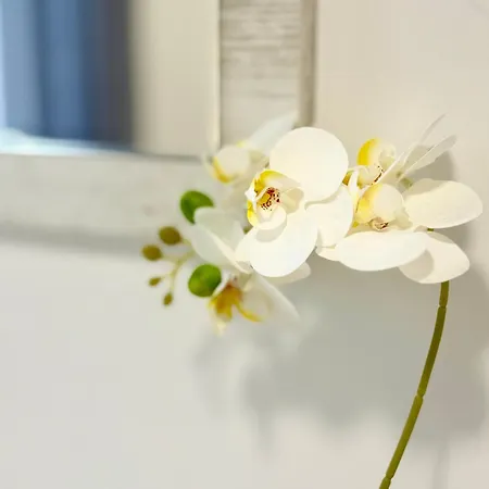 شقة In The Heart Of Varna-by The Sea And Sea Garden فارنا