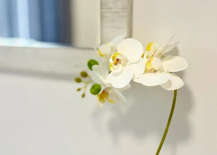 Lejlighed In The Heart Of Varna-by The Sea And Sea Garden Varna