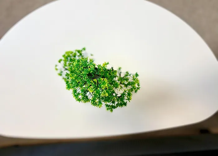 In The Heart Of Varna-by The Sea And Sea Garden * Varna